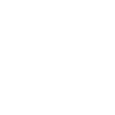 Icon about the Newsletter