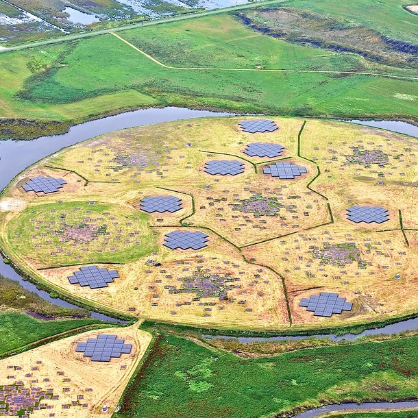 the LOFAR view of the radio sky